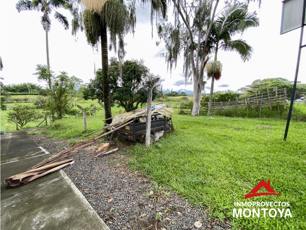 Arriendo local sobre la vía de Cerritos, Pereira — foto 3