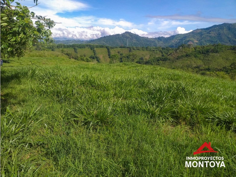 Oportunidad? Finca ganadera, sector Combia-La Honda, Pereira — foto 2