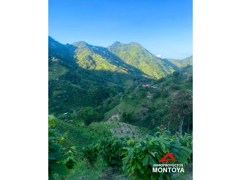 Lote de 5 cuadras cerca a Risaralda, Caldas - 2