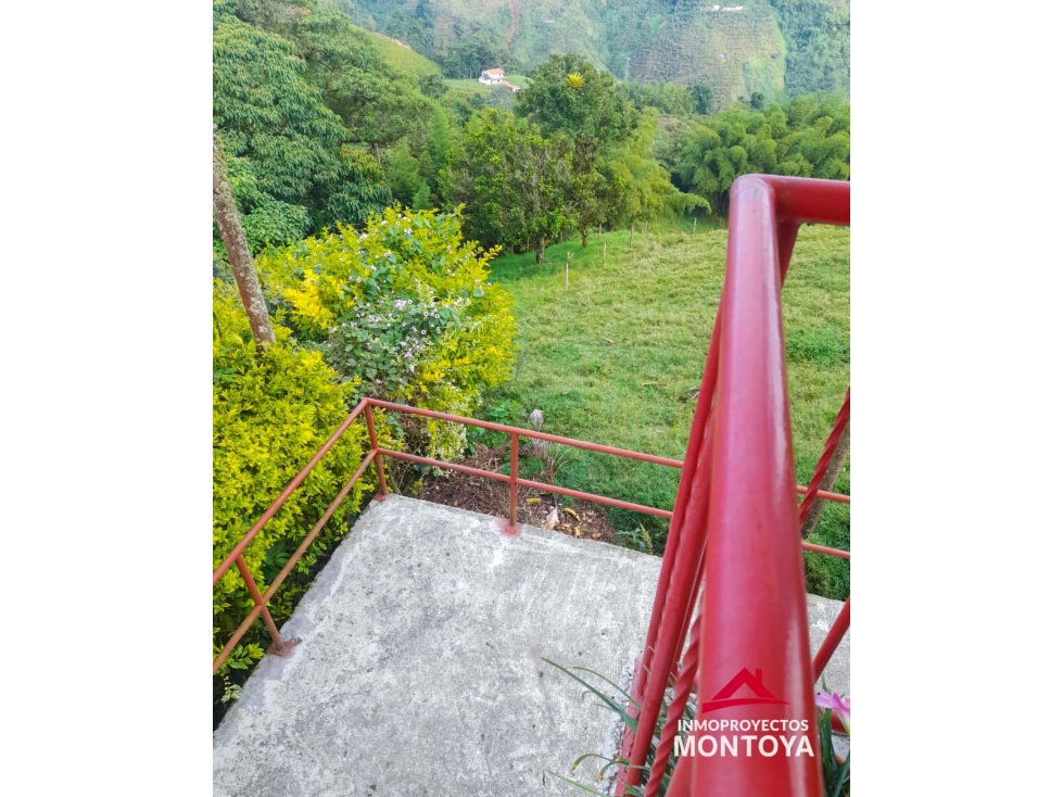 Finca sector Las Cruces, Santa Rosa de Cabal — foto 5