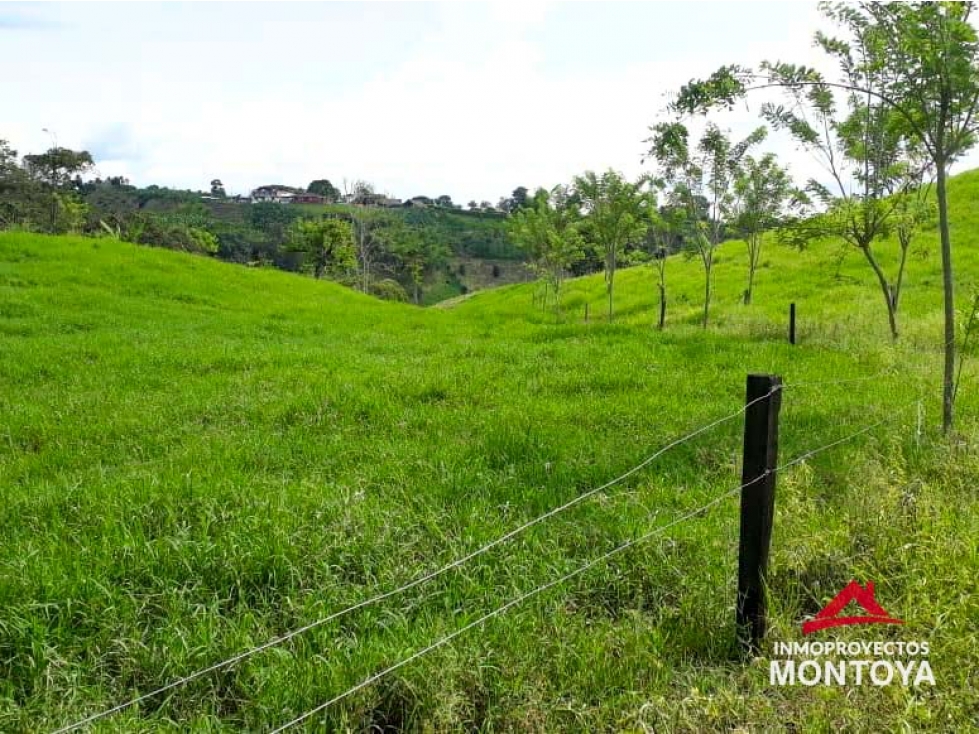 Lotes en parcelación, Combia, Pereira