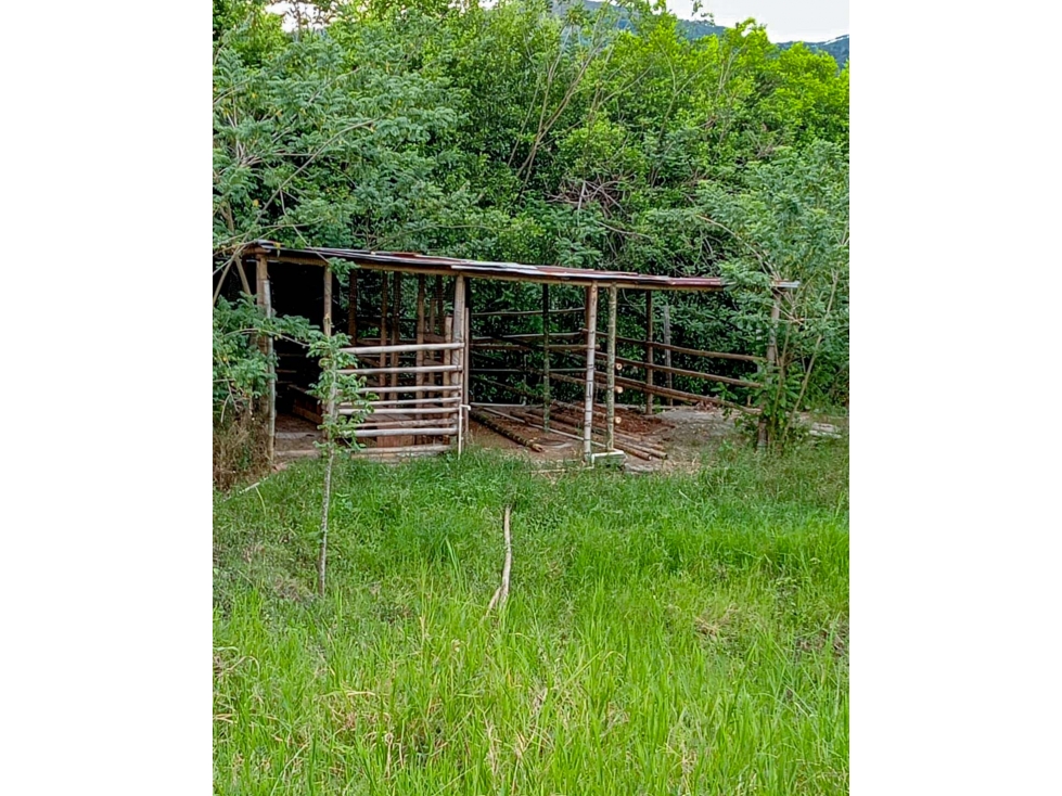 Casa-lote en la vía Alcalá-Cartago - 3