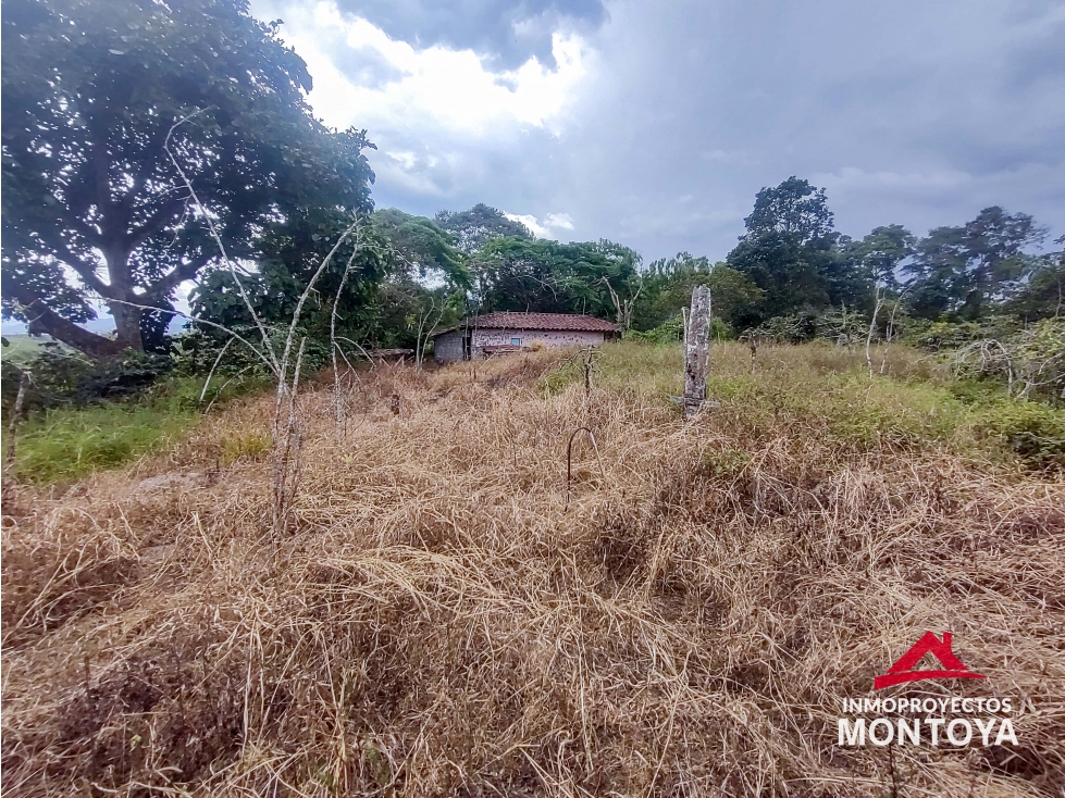 Lote en la vía Armenia — foto 6