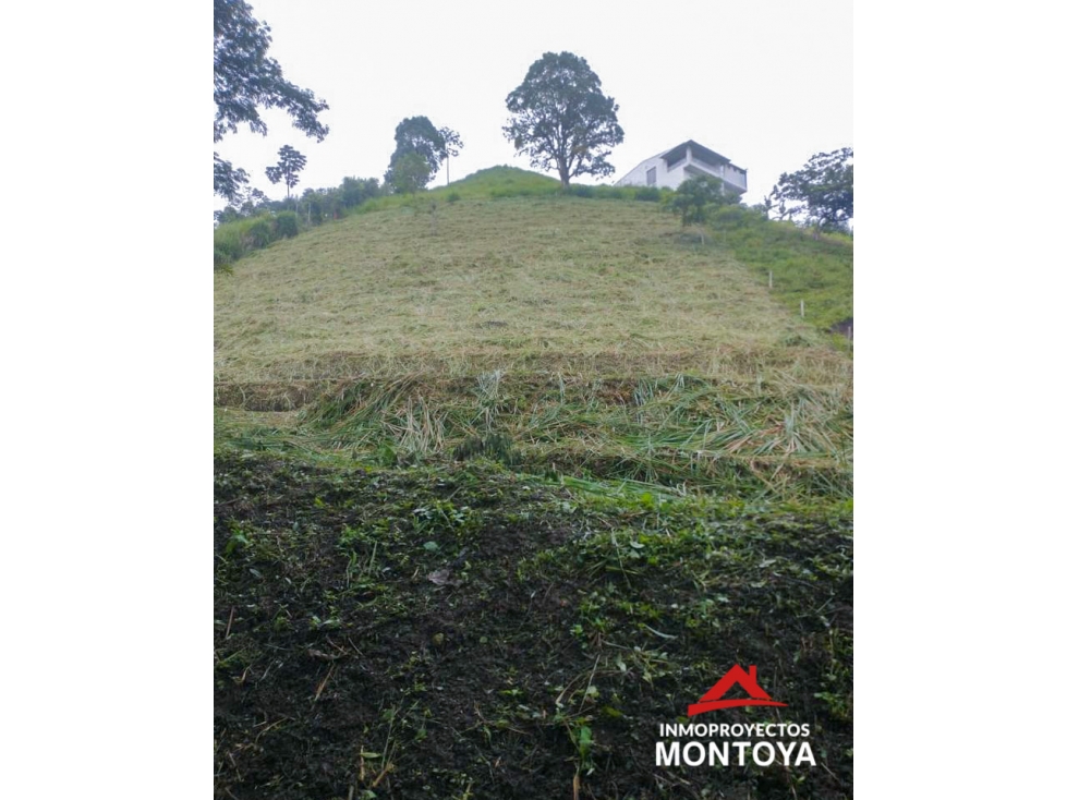 Lote campestre en condominio, Combia, Pereira — foto 2