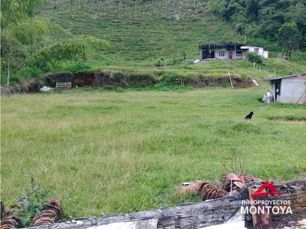 Finca ganadera en Combia, Pereira — foto 3