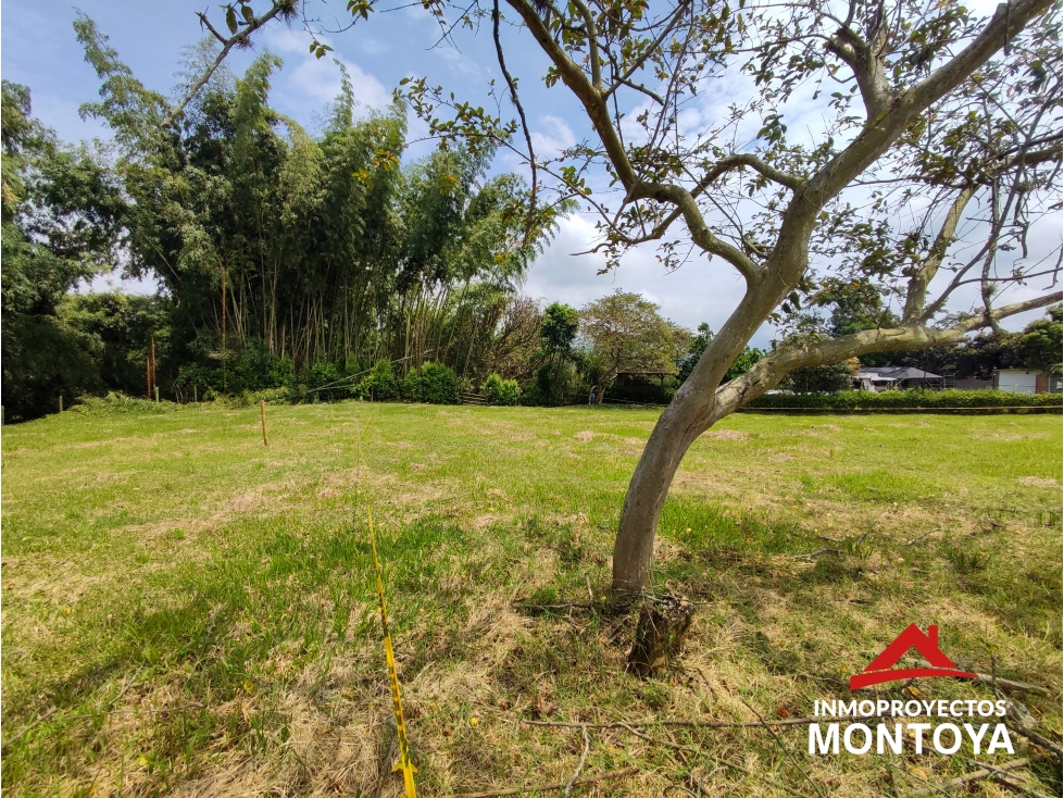 Últimas unidades 2 lotes planos en Cerritos, Pereira — foto 4