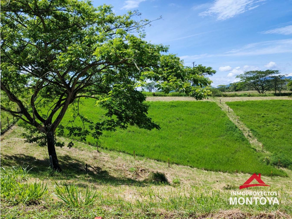 Lote en parcelación cerca a Alcalá, Valle - 1
