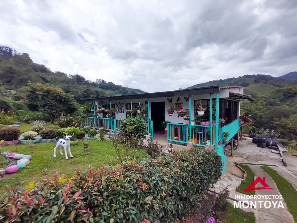 Finca a 20 min de Pereira, sector La Florida — foto 3