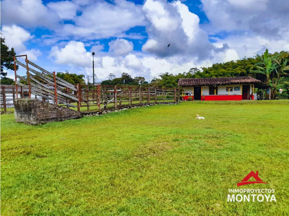 Finca ganadera en Condina, Pereira — foto 4