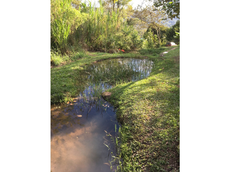 SE VENDE TERRENO EN CHAGUANÍ CUNDINAMARCA - 6