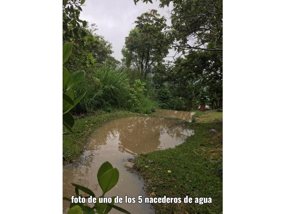 SE VENDE TERRENO EN CHAGUANÍ CUNDINAMARCA - 3