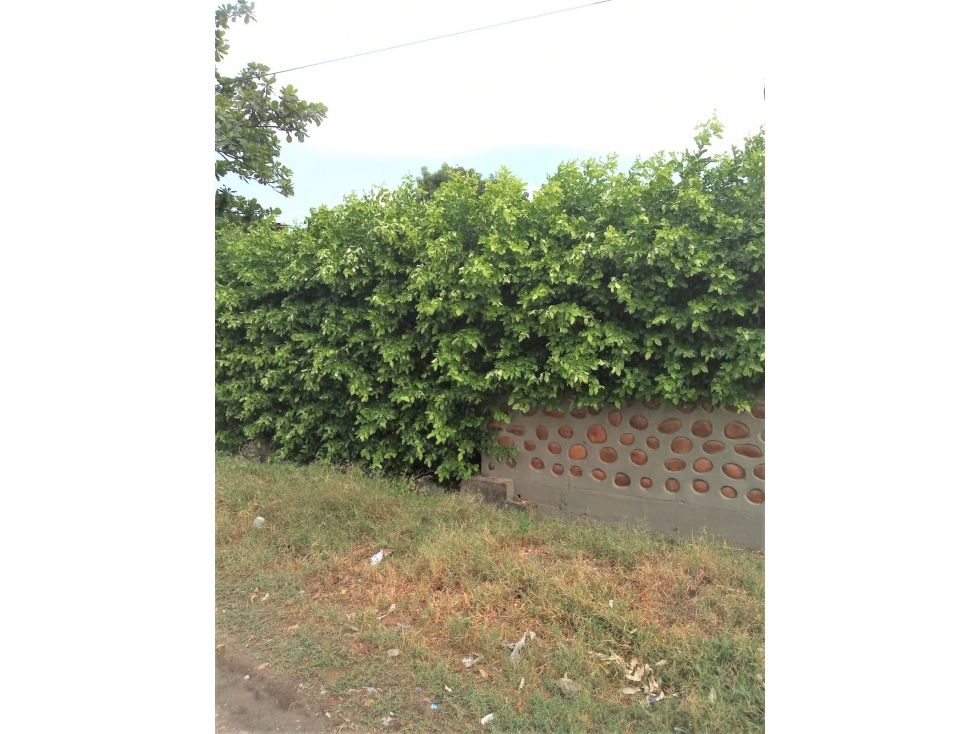 SE VENDE LOTE EN AGUA DE DIOS CUNDINAMARCA - 5