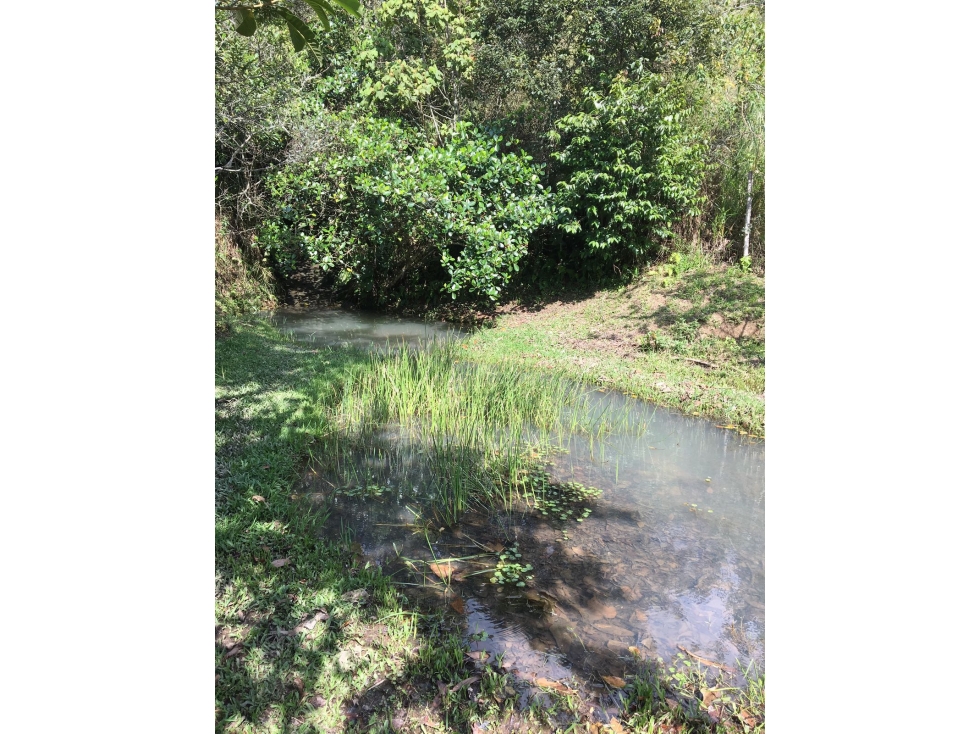 SE VENDE TERRENO EN CHAGUANÍ CUNDINAMARCA - 5