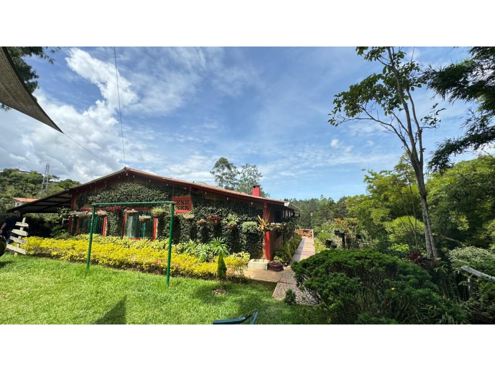 VENDO FINCA VDA HONDITA GUARNE ANTIOQUIA — foto 2