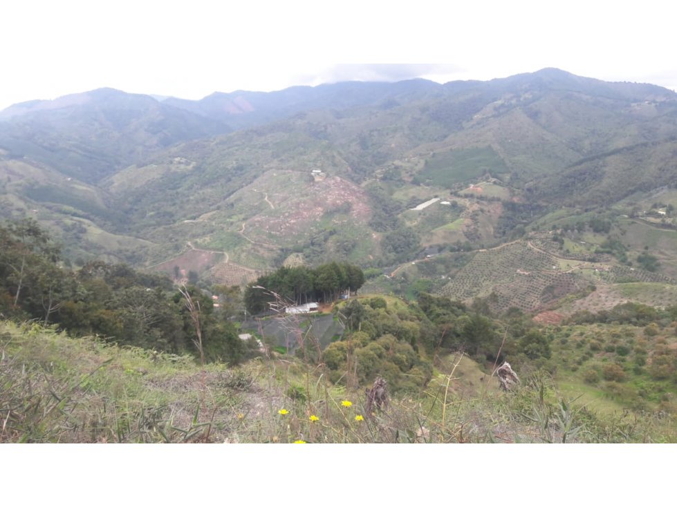 Venta de Lote Rural- El Retiro Antioquia - Vereda Pantalio — foto 4