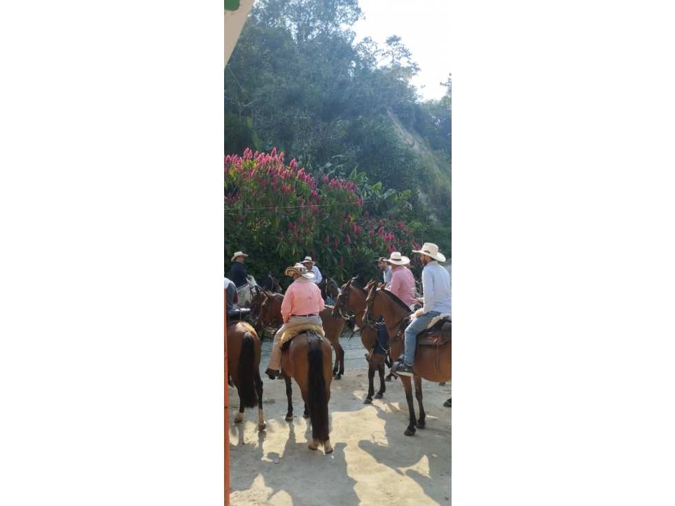 Venta Finca Hotel Sabaletas Montebello Antioquia P - 6