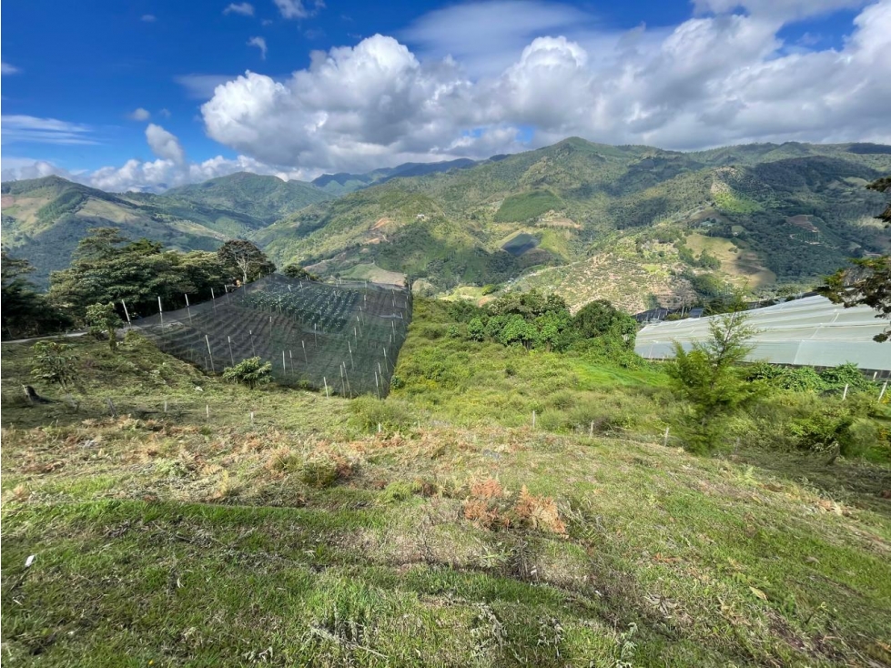 Venta de Lote Rural- El Retiro Antioquia - Vereda Pantalio — foto 2