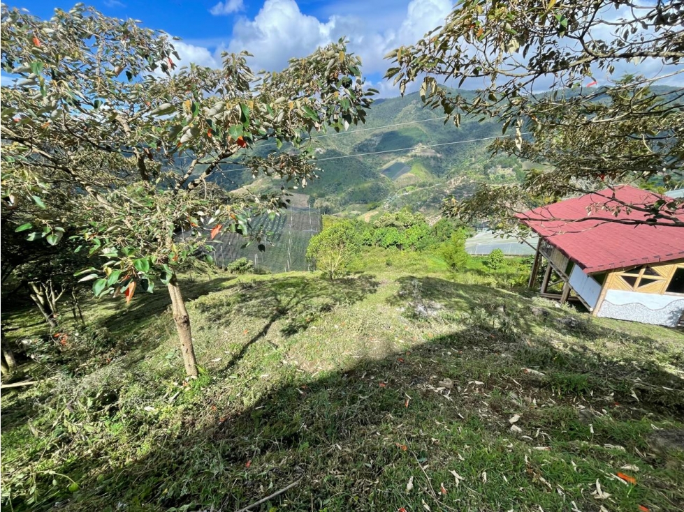 Venta de Lote Rural- El Retiro Antioquia - Vereda Pantalio — foto 3