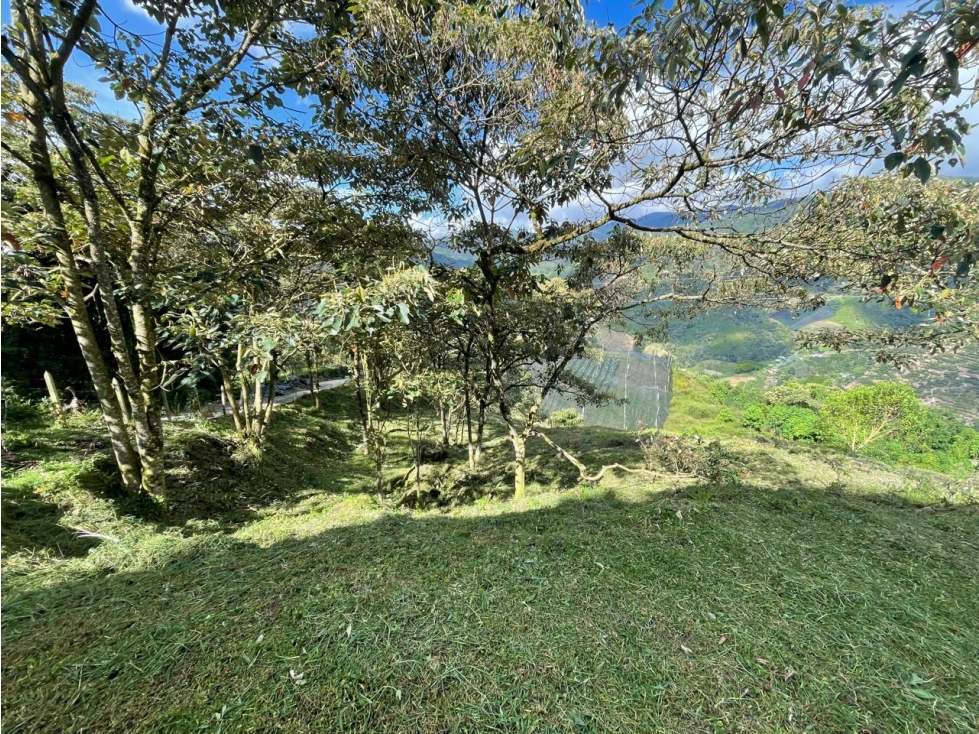 Lote Rural El Retiro- Vereda Pantalio — foto 5