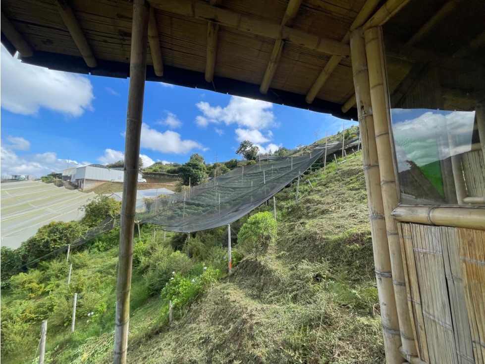 Venta de Lote Rural- El Retiro Antioquia - Vereda Pantalio — foto 6