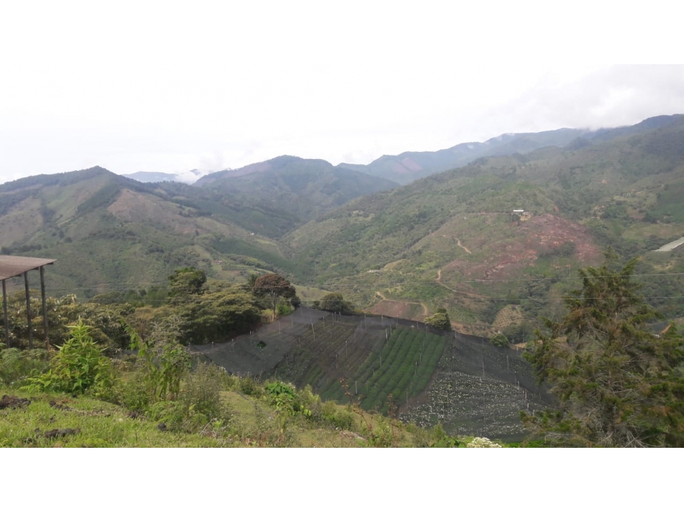 Venta de Lote Rural- El Retiro Antioquia - Vereda Pantalio