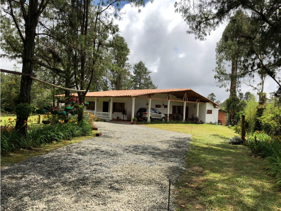 Venta Finca Santuario Antioquia KM 57 — foto 4