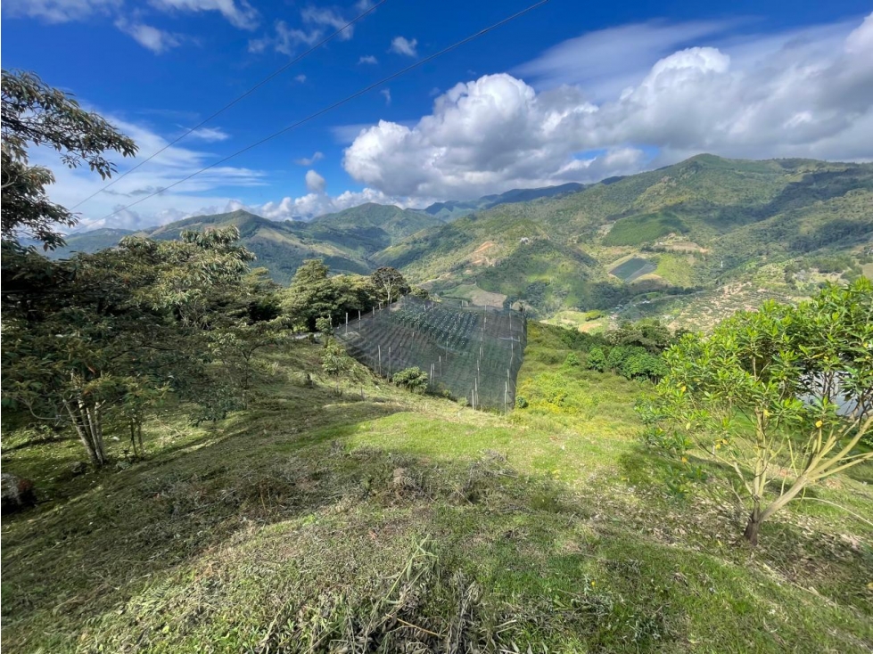 Venta de Lote Rural- El Retiro Antioquia - Vereda Pantalio — foto 4