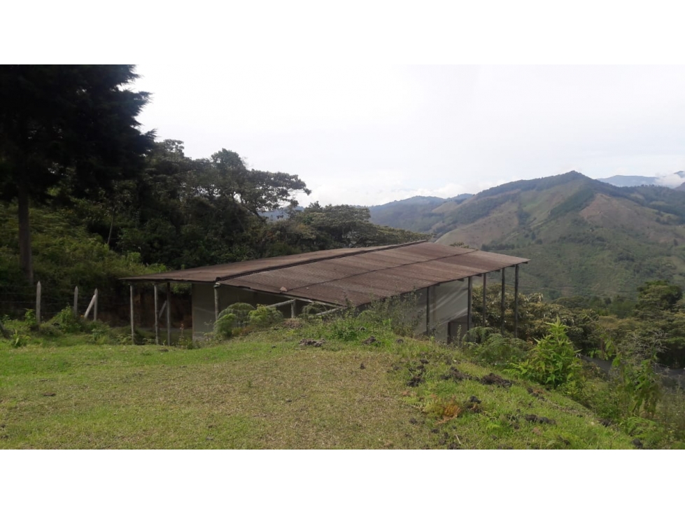 Venta de Lote Rural- El Retiro Antioquia - Vereda Pantalio — foto 3