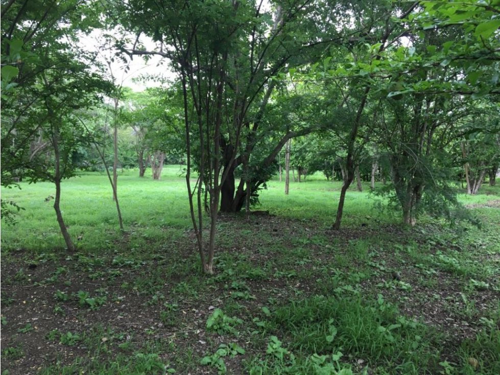 Lote en Venta Aleros del Country Zona Norte Cartagena — foto 2