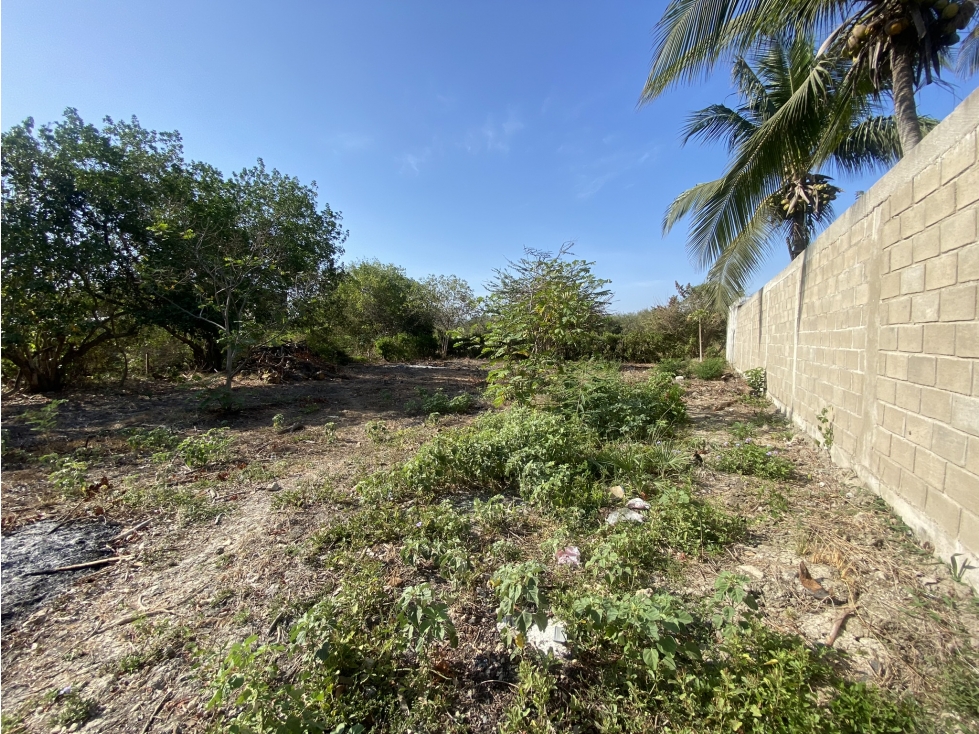 Lote en Venta Manzanillo de Mar Zona Norte Cartagena — foto 3
