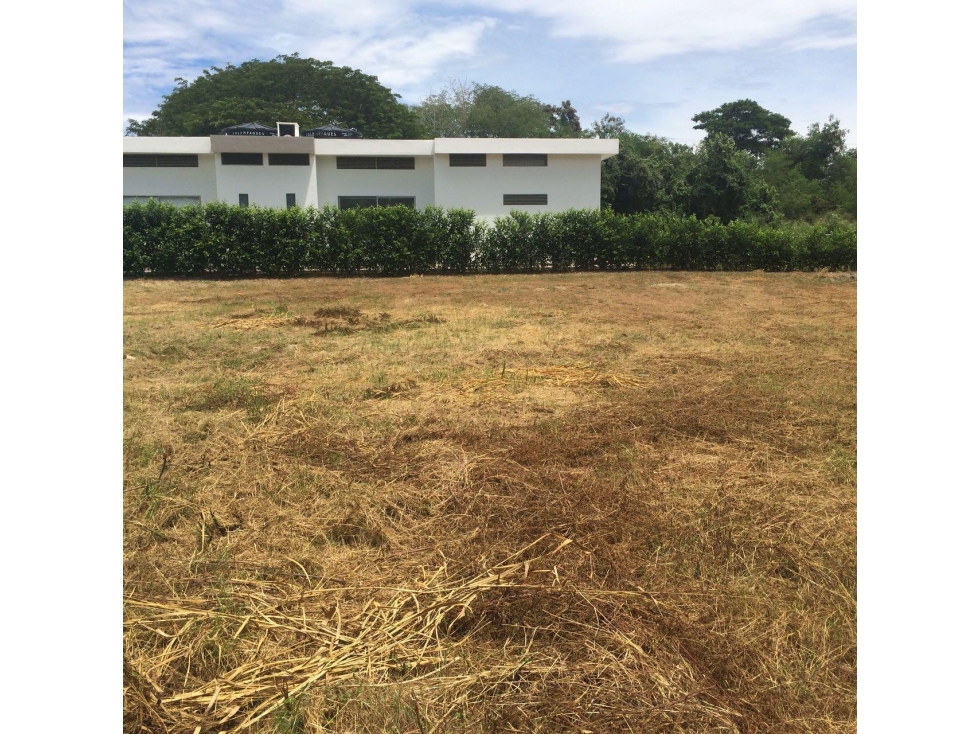 Venta Lote Ricaurte Cundinamarca - 4