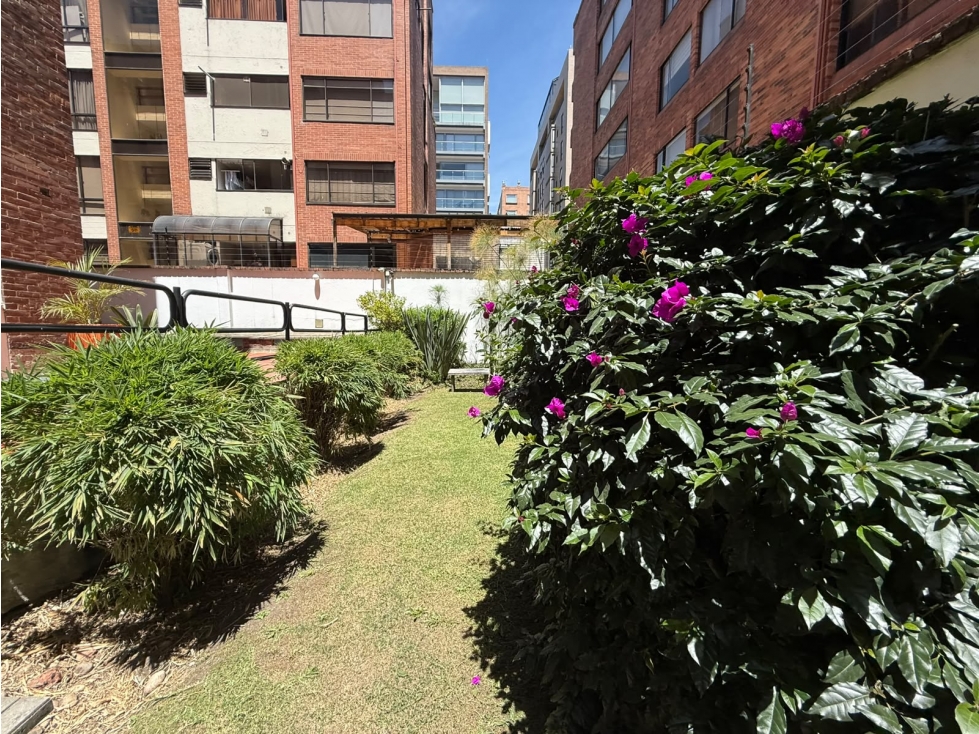 La Cabrera, Renta o Venta 241 M, Piso 3
