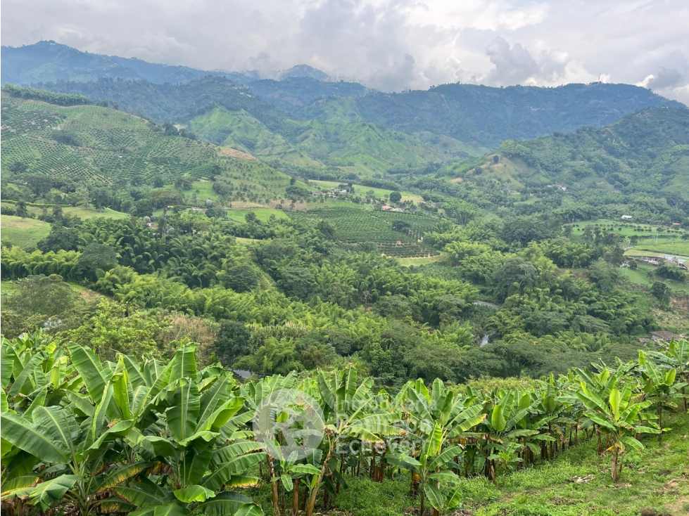 Finca en venta, La Trinidad, Manizales — foto 2