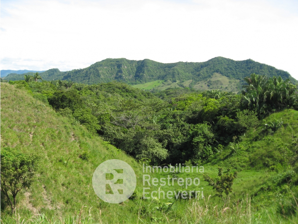Finca en venta, La Dorada, Caldas. - 2