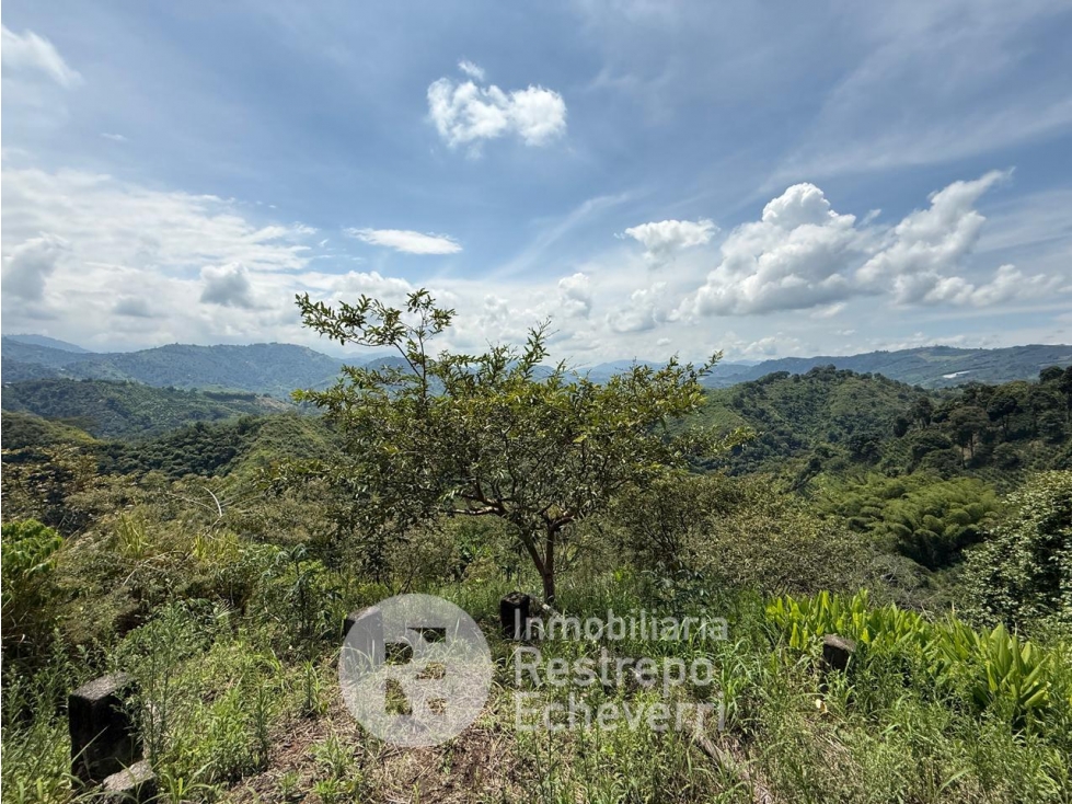 Lote en venta, San Peregrino, Manizales