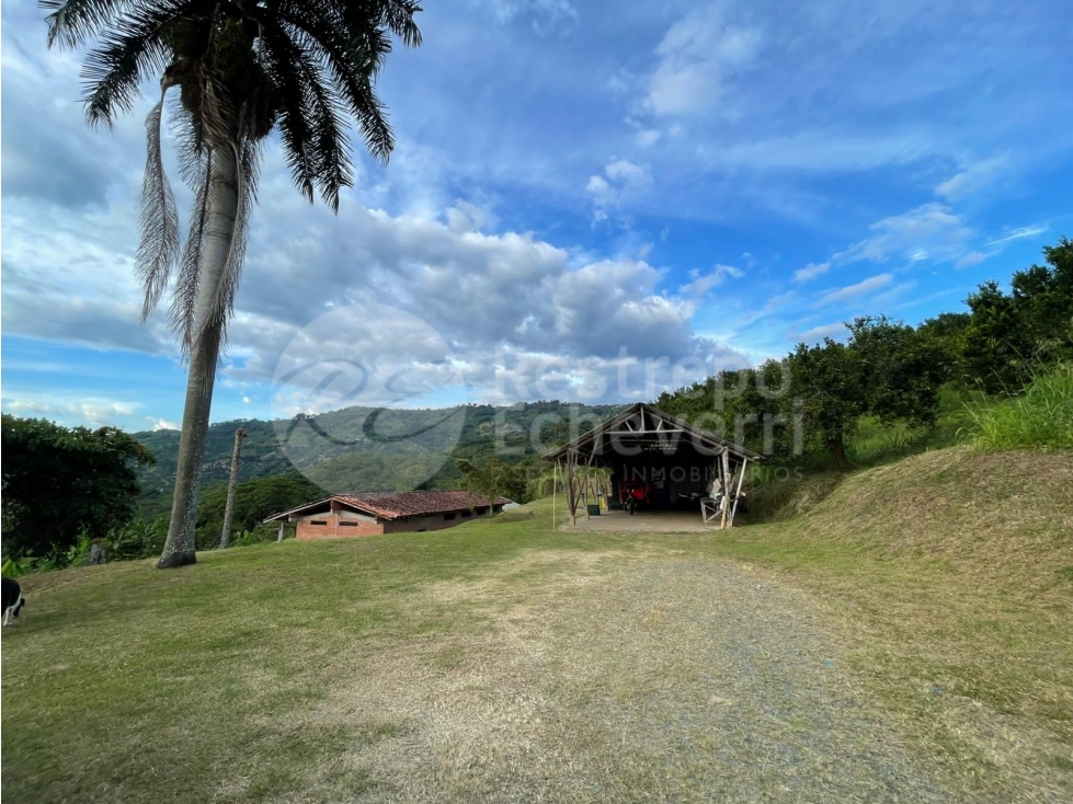 Finca en venta, Lisboa, Neira - 6