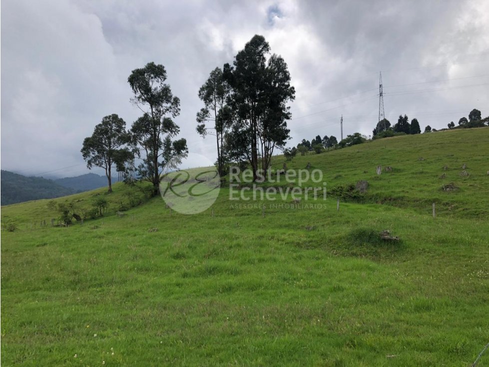 Lote en venta, Malteria, Manizales