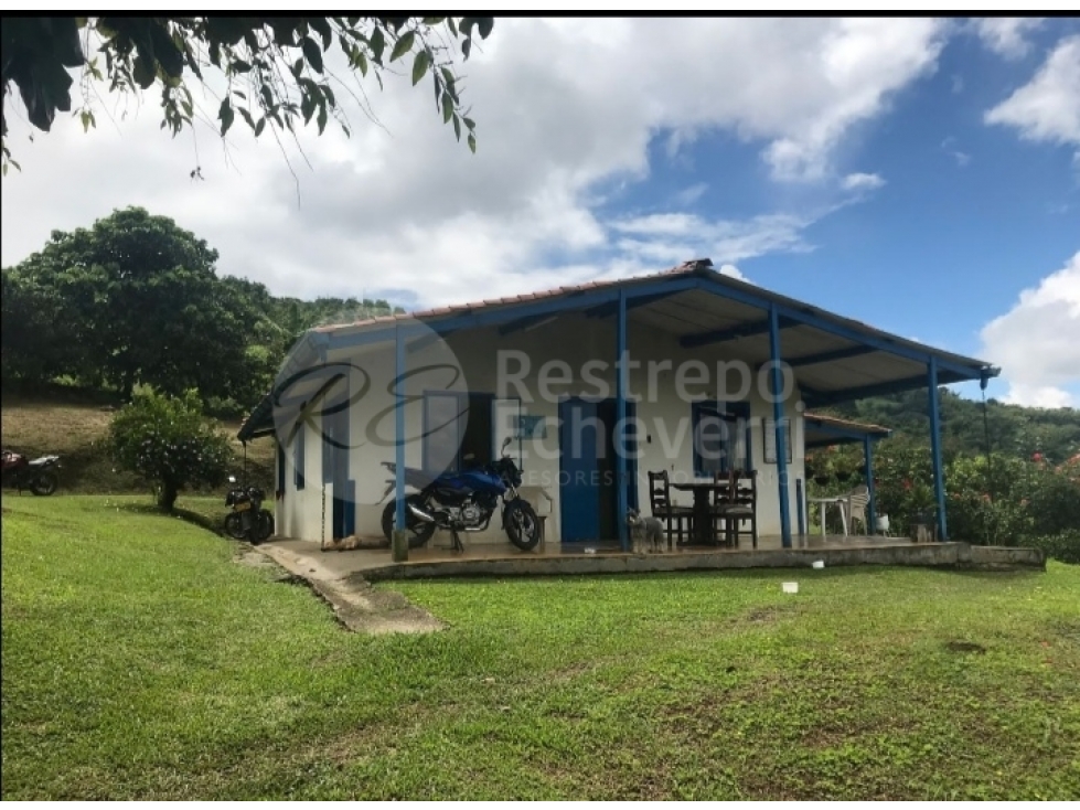 Finca en venta, Lisboa, Neira - 4