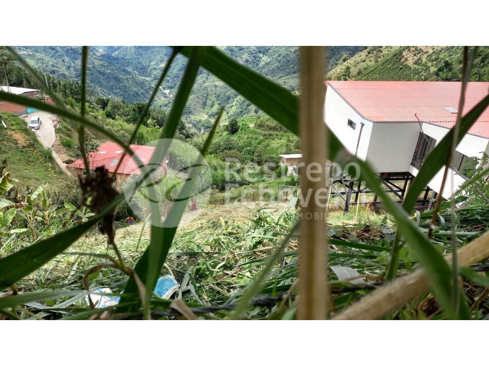 Lote en venta, vereda Boston, Manizales — foto 4
