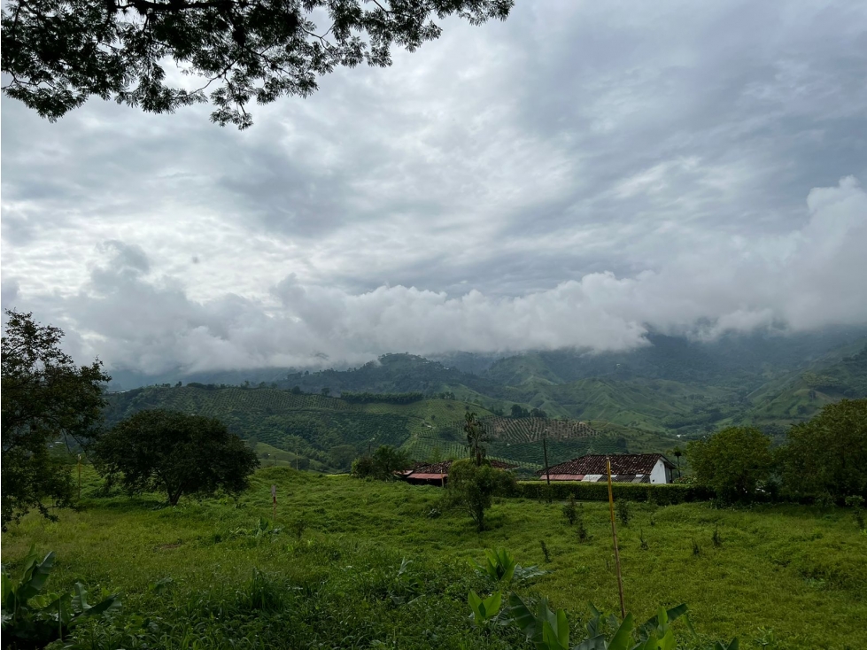 Vendo lote en conjunto, La Trinidad, Manizales — foto 4