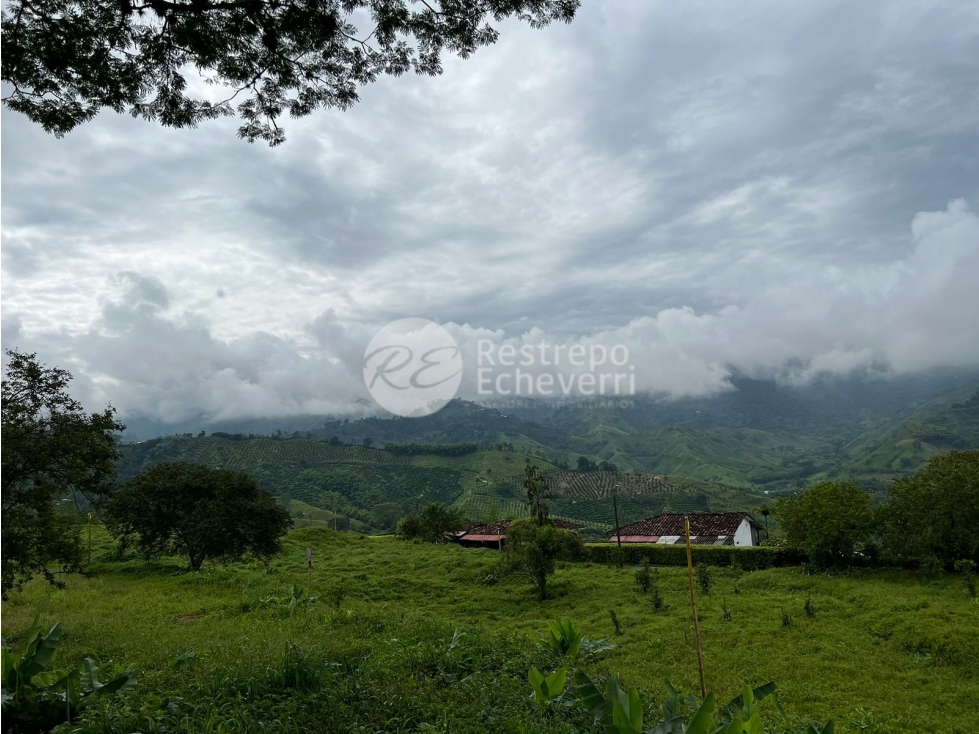 Vendo lote en conjunto, La Trinidad, Manizales — foto 3