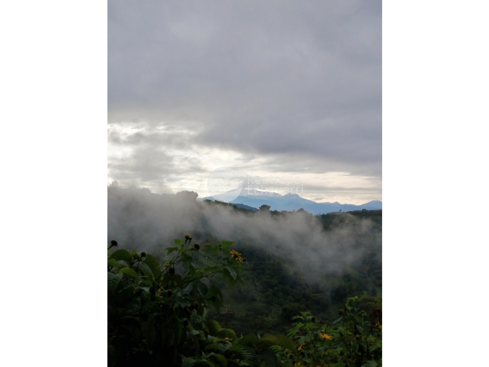 Finca en venta, Neira, Caldas - 2