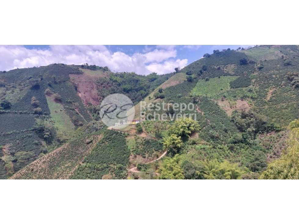 Finca en venta, Chinchiná, Caldas — foto 2