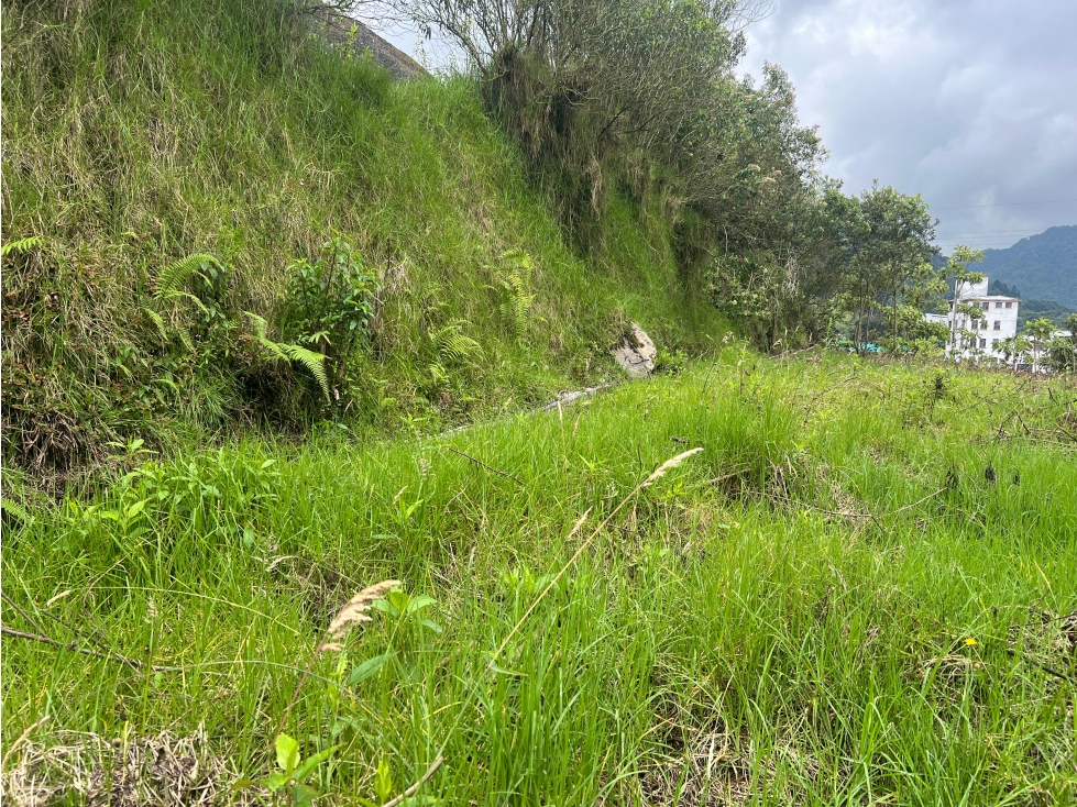 Lote en arriendo, Maltería, Manizales