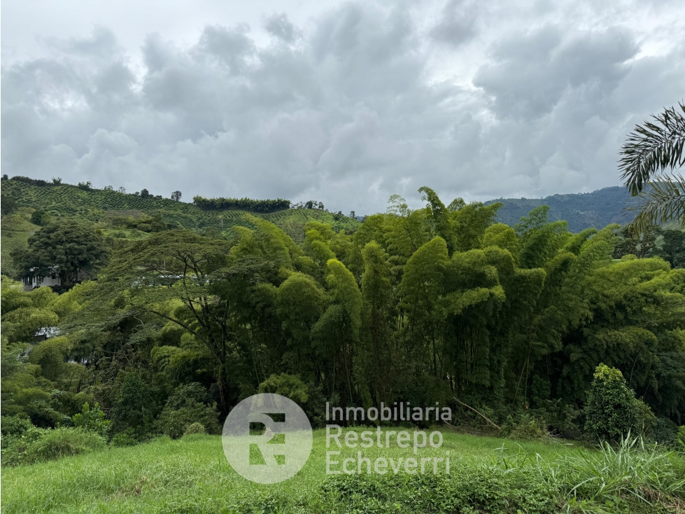 Lote en venta, El Rosario, Manizales