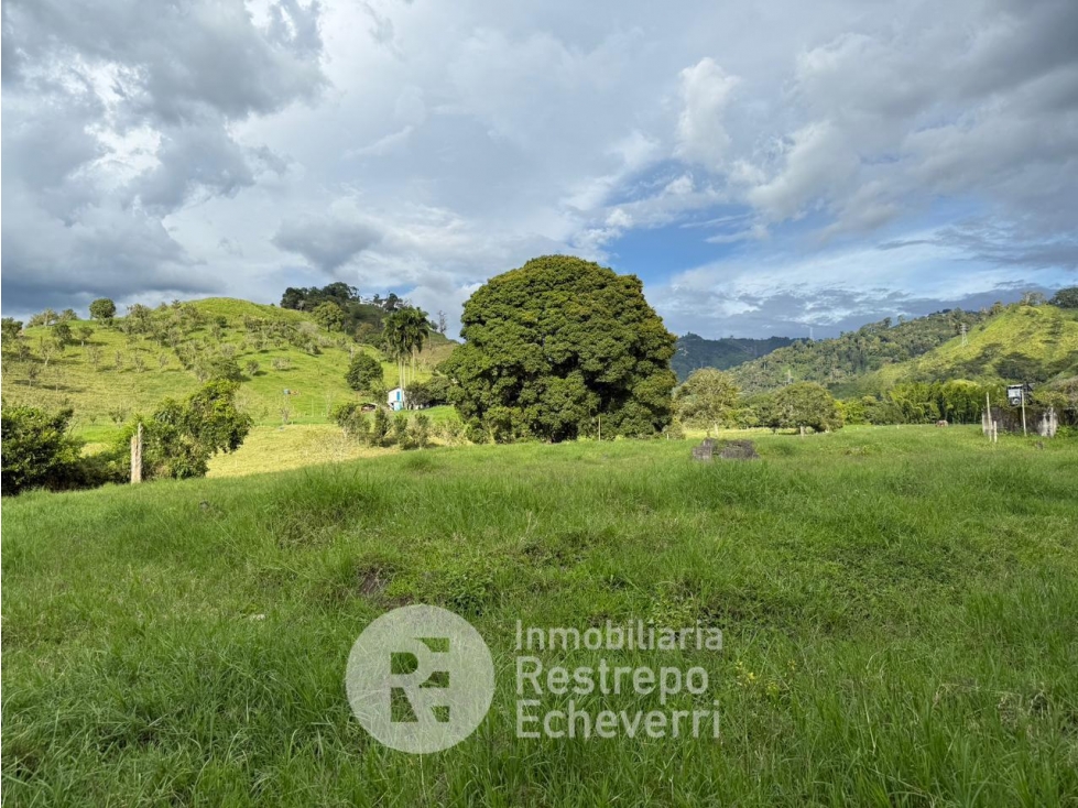 Lote en venta, El Rosario, Manizales