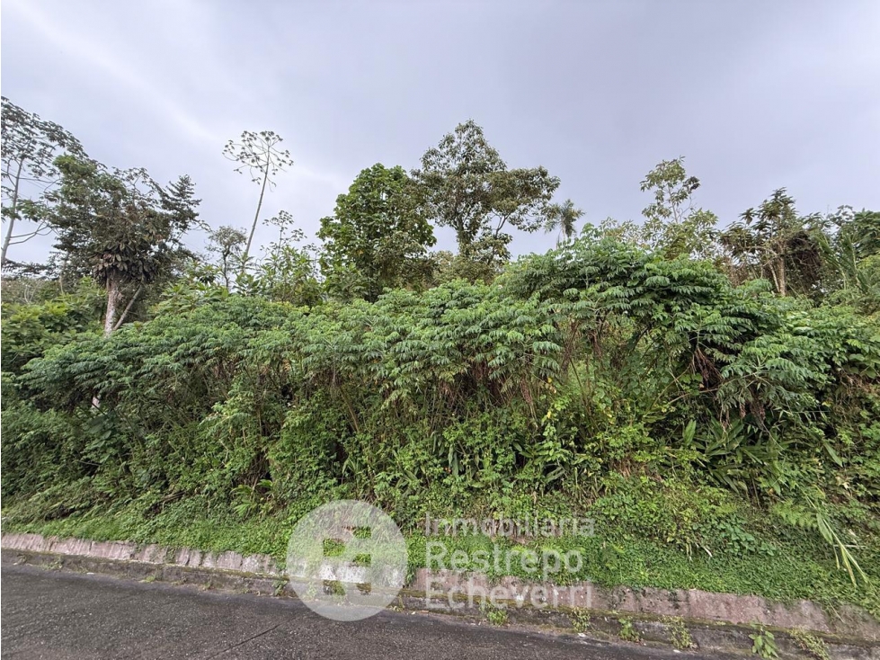 Lote en venta, La Francia, Manizales