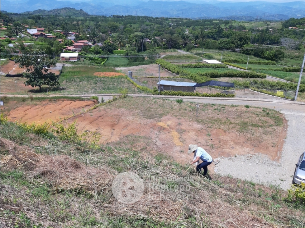 Lote en Venta, Las Margaritas Vía Anserma - 1