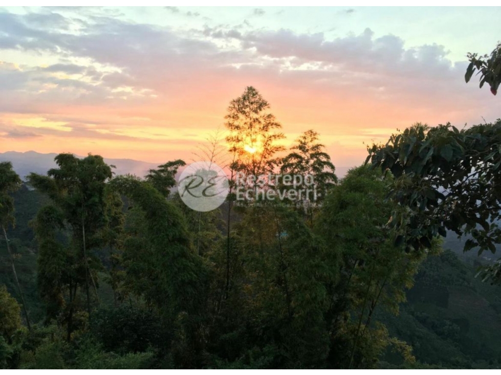 Hotel en venta, Morrogacho, Manizales - 6