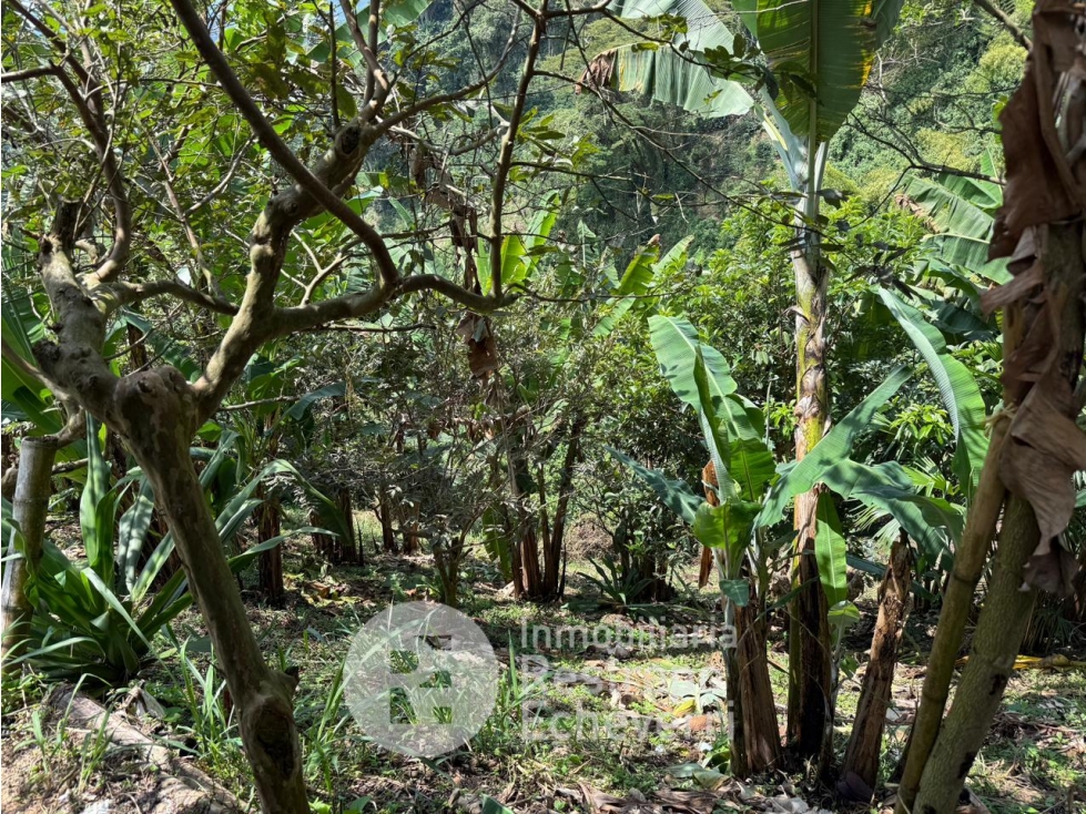 Lote en venta, San Peregrino, Manizales — foto 3